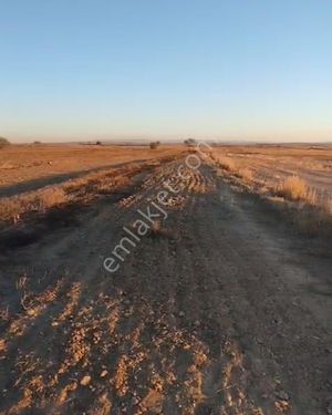 Tekirdağ Malkara Kozyörük