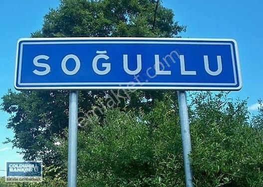 Deniz Ve Doğa'nın Buluşma Noktası Şile'de 392 M2 Arazi