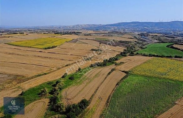 Çatalca Subaşı Mahallesinde Satılık 5.839m2 Tarla