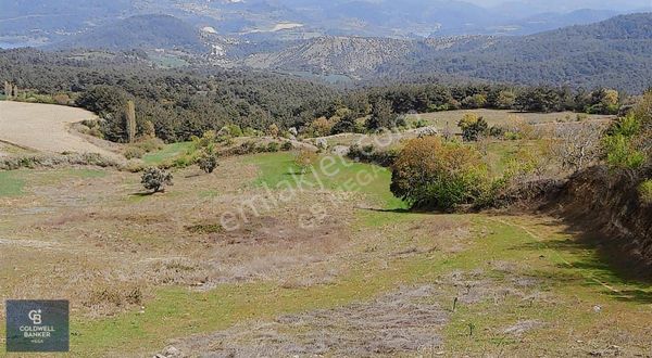 Çanakkale Ulupınar Köyünde 440 M2 Kooperatif Hissesi