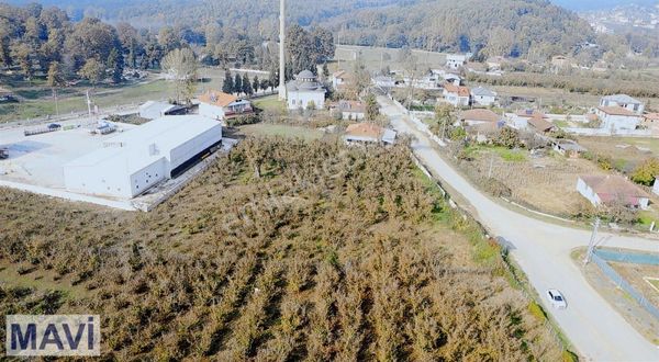 Re/max'tan Hendek Hacıkışla'da İmarlı Asfalt Yola Cephe Arsa