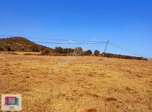 Çanakkale Lapseki Balcılar Köyü Satılık Arsalar