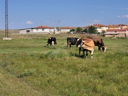 İlbey // Şuhut Seydiköyde 598 M² Alanda Tapulu Ev/depo/çiftlik