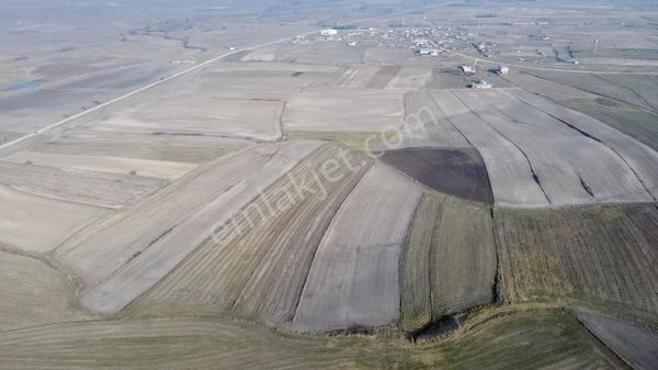 Mayadan Saray/bahçedere'de Köye Ve Caddeye Yakın Satılık Tarla