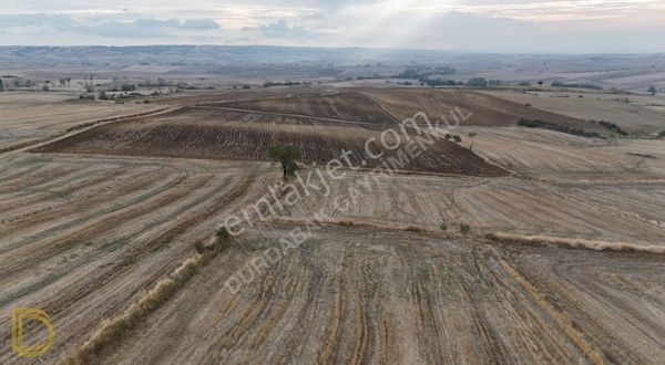 Tekirdağ Malkara Davuteli Köyü Ekilebilir Verimli 18661 M2 Tarla