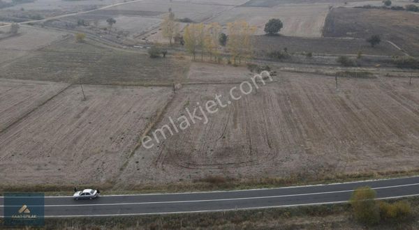 Biga Karantı (gündoğdu Köyünde) Asfalta Cephe Satılık Arazi