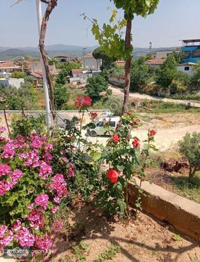 İzmir Torbalı Çamlıca Köyünde Köy Evi