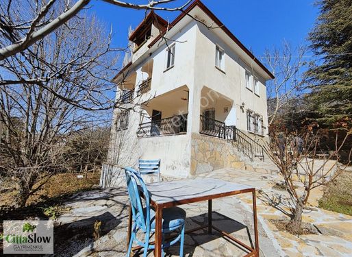 Cittaslow Gayrimenkul'den Köyceğiz Yayla'da Satılık Müstakil Ev