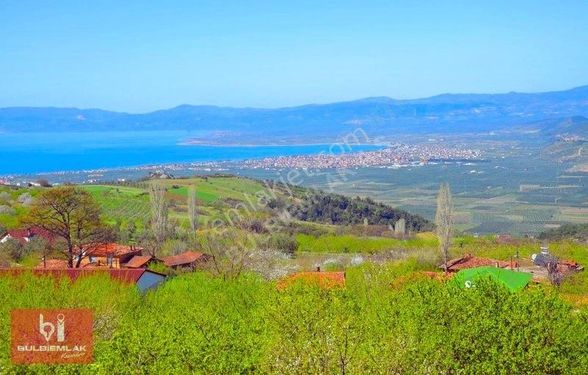 İznik Şerefiye'de En Nezih Bölgesinde Satılık 7.844 M2 Tarla