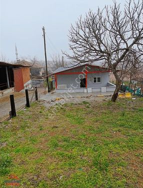 Sakarya Kaynarca Müstakil Satılık Köy Evi