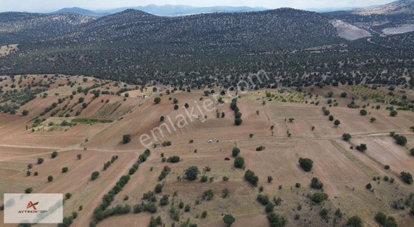 1597 M² Kurukavak Mah.de Tarla / Güneysınır /konya