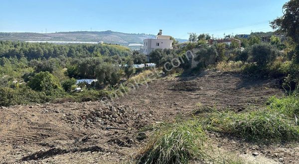 Toraman Gayrimenkulden Doruklu Satılık Arsa