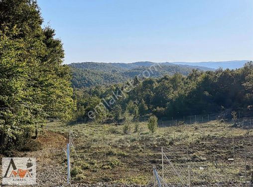 Ali Baba Emlaktan Karabeylide Telle Çevrilmiş Araç Yolu Açık