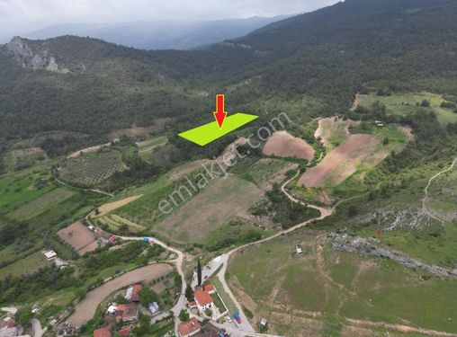 Pamukova Paşalar Mahallesinde Köye Çok Yakın Orman İçi 5900 M²