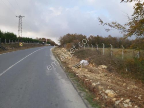 Silivri Danamandıra 10 Dönüm Tek Tapu Asfalt Yol Ve Ormana Cephe Satılık Arazı