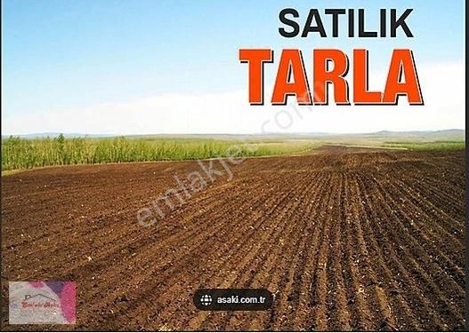 ️emlak Aşkı'ndan Satılık Tarla️