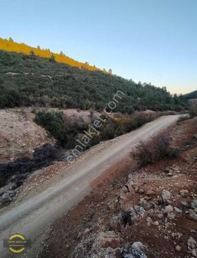 Burdur Bucak Taşyayla'da 491 M2 Resmi Yolu Olan Satılık Tarla