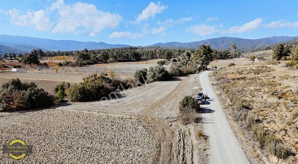 Antalya Korkuteli Çomaklı'da Yola Cephe Satılık Tarla