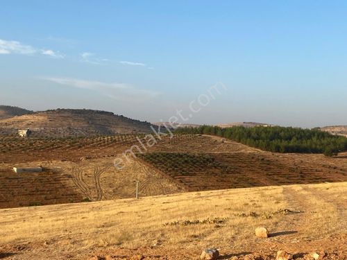 Bilek'de Bağ Evlik Yatırımlık Uygun Arazi