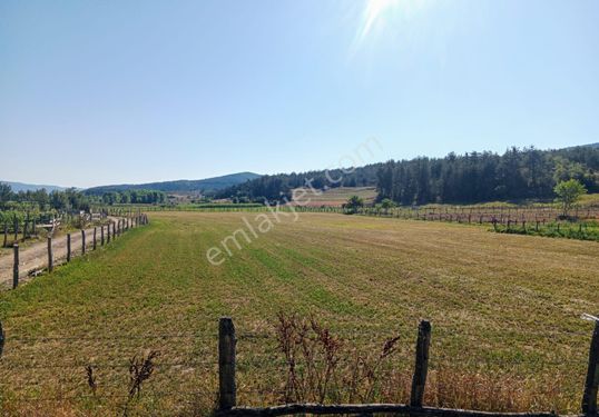 Kastamonu Emlak Gayrimenkul'den Satılık Daday Bolatlar Köyünde Toplam 6.140 M² Tarla