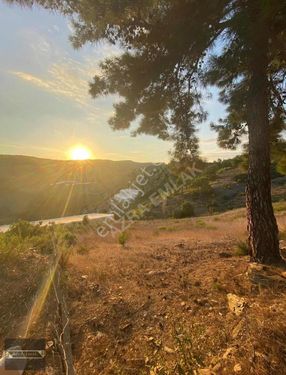 Gazipaşa Burhan Mahallesinde Şehir,doğa Ve Deniz Manzaralı Tarla