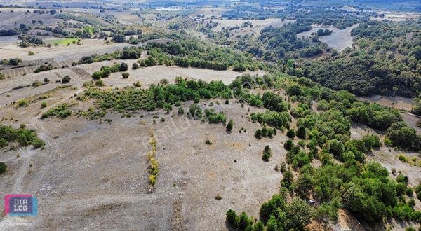 Ümitalan'da Göl Manzaralı Bungalov Yapmaya Uygun Tarla