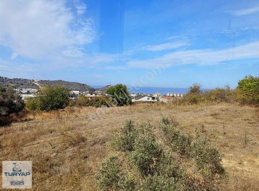 Yalova Akköyde 469 M2 Arsa İçinde Deniz Manzaralı Natamam Villa