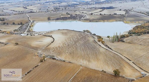 Yeni Muhacir Baraja Cephe 12.450 M2 Satılık Tarla