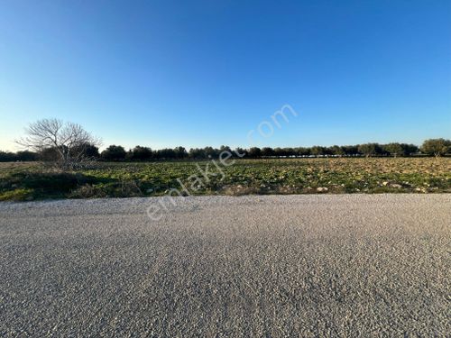 Çanakkale Kumkalede Asfalt Yola Cephe Müstakil Parsel