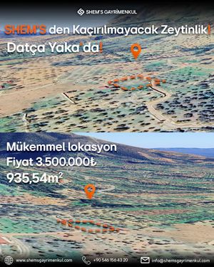 Satılık Zeytinlik - Datça Yaka