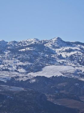 Asil 1 Den Sarılar Yaylasında Fırsat 260 M2