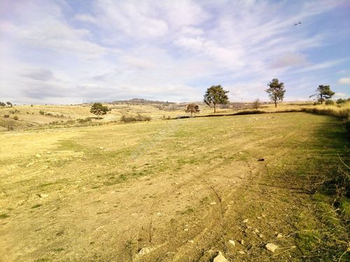 Çanakkale Merkez Kurşunlu Kooperatif Hissesi