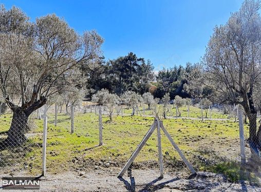 İzmir Bornova Çiçekli Köyde Satılık Doğa İçinde Fırsat Bahçe