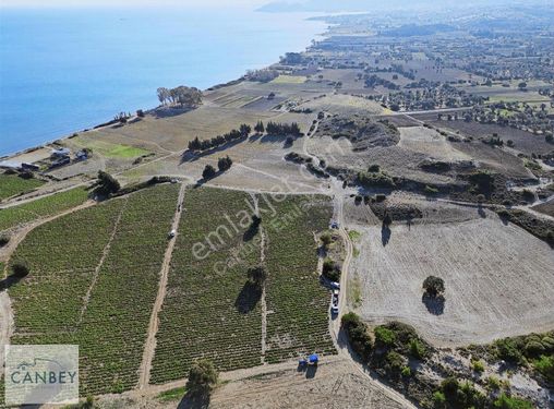 Datça Kızlan'da Denize 300 M Mesafede 451 M2 Arsa Hissesi