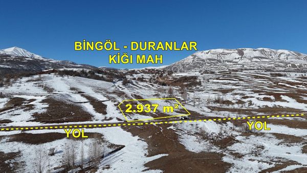 Bingöl / Kığı / Duranlar Mahallesinde 2.937 M² Müstakil Tapulu Tarla