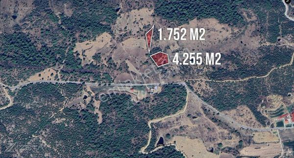 Zeta - Kavaklıdere'de Asfalta 80 Mt. 6.007m2 Satılık Arazi