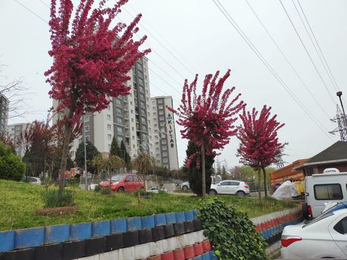 Kiptaş Kayabaşı Konutları Kiralık Dükkan