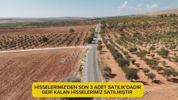 Mesken Emlak'dan Çöreklide Resmi Yol Üstü Fırsat Bağevlik Yer