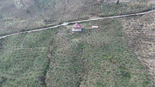 Ordu Akçatepe 'de Satılık 10.001 M2 Hastane Ve Universite Yakın