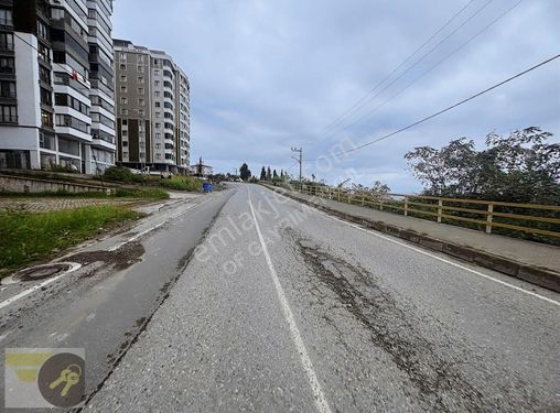 *of Gayrimenkul* Deniz Ve Doğa Manzarlı Güney Cephe Sıfır Daire