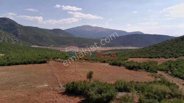 Antalya Korkuteli Yazırda Yatırımlık Müstakil 5017 M2 Tarla