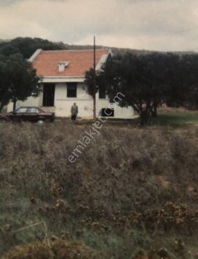 Çanakkale Bozcaada Alaybey Acil Satılık Müstakil Ev