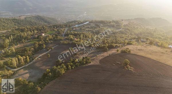 Büyükdemir Gayrimenkulden 1950m2 Fırsat Arazi