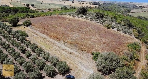 Mayadan Gayrimenkul'den Kepekli Köyünde Satılık Tarla