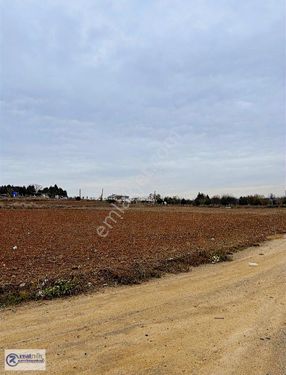 Tekirdağ Çorlu Türkgücü Mahallesi Bağlar Mevki Satılık Bağ Yeri