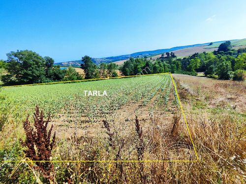 İzmit Bağlıca’da Köy İçi İmara 40 Mt Mesafesiyle Harika İmar Ve Konum Fırsatlı Satılık Tarla