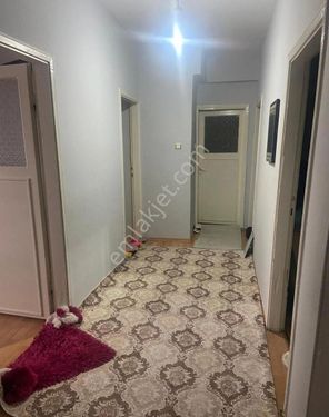 Denize Sıfır 3+1daire