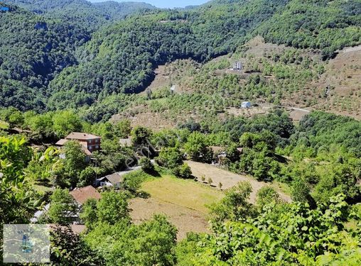 Başiskele Aksığın Mah Vadiye Hakim Noktada 12000m2 Kiralık Arazi