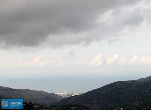 Canik'te Doğa Harikası Satılık Arazi Fındık Tarlası Bağ Evi