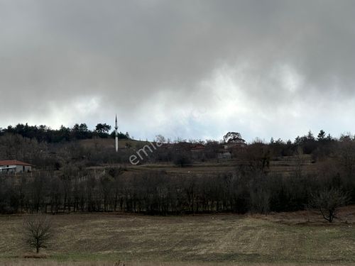 Tohumlar Köyün De Kadastro Yola Cepheli 1,018 M² Fırsat Arazi